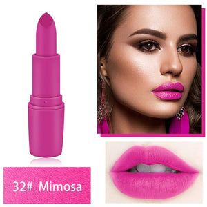 20 Color Makeup Matte Lipstick Lasting Waterproof Lipstick Professional Make up Lipstick Set Beauty Lip Cosmetics