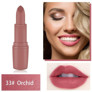 20 Color Makeup Matte Lipstick Lasting Waterproof Lipstick Professional Make up Lipstick Set Beauty Lip Cosmetics