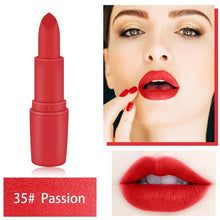 Load image into Gallery viewer, 20 Color Makeup Matte Lipstick Lasting Waterproof Lipstick Professional Make up Lipstick Set Beauty Lip Cosmetics