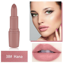 Load image into Gallery viewer, 20 Color Makeup Matte Lipstick Lasting Waterproof Lipstick Professional Make up Lipstick Set Beauty Lip Cosmetics